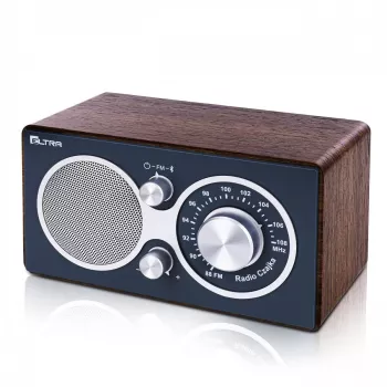 Radio Eltra CZAJKA Bluetooth mudel — kaasaskantav raadio Bluetooth-ühendusega