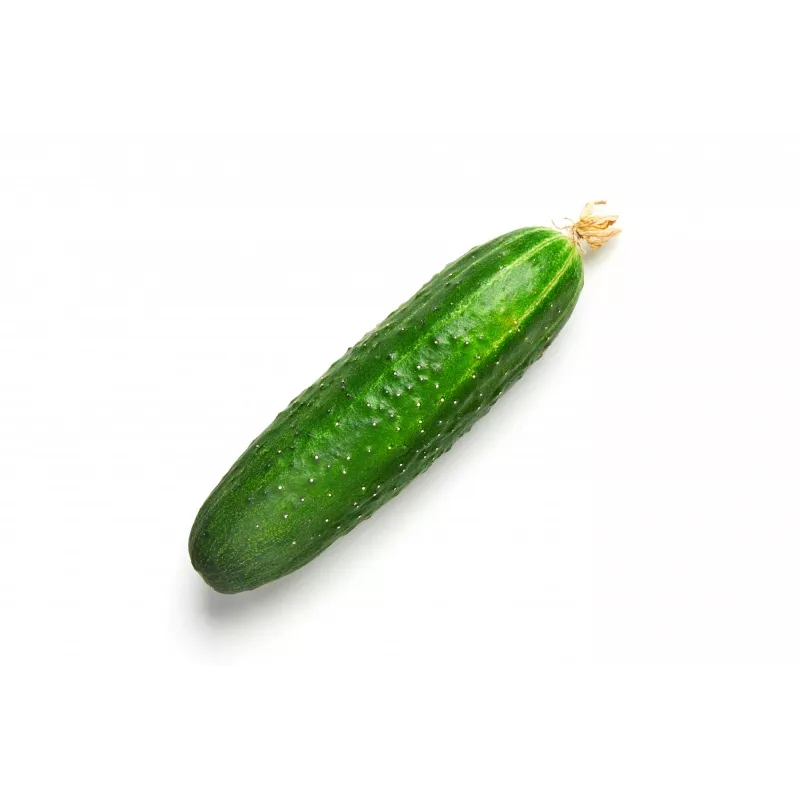 Cucumber Ares F1 Toraf köögiviljaseemned, 5g pakend