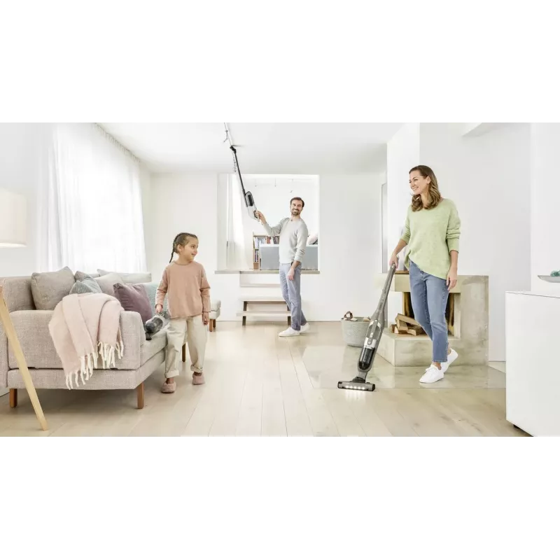 Bosch BBH3ALL23, 2-in-1 pulkpuhasti, Tolmukotita, Šampanja, Metallik, 0,4 L, Kuiv, Aku