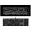 Juhtmega A4Tech klaviatuur FX60H USB QWERTY — täissuuruses 100%, valge taustvalgustusega, hall