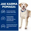 HILL'S PD D/D Food Sensitivities, pardi ja riis - kuiv koeratoit - 4kg