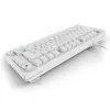 Sharkoon SGK25 75% QWERTZ USB juhtmega RGB LED klaviatuur, valge
