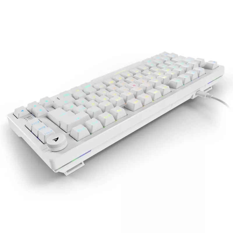 Sharkoon SGK25 75% QWERTZ USB juhtmega RGB LED klaviatuur, valge
