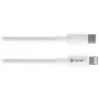 USB USB-C kuni Lightning kaabel TRACER 47169, 1 m, isane-isasele