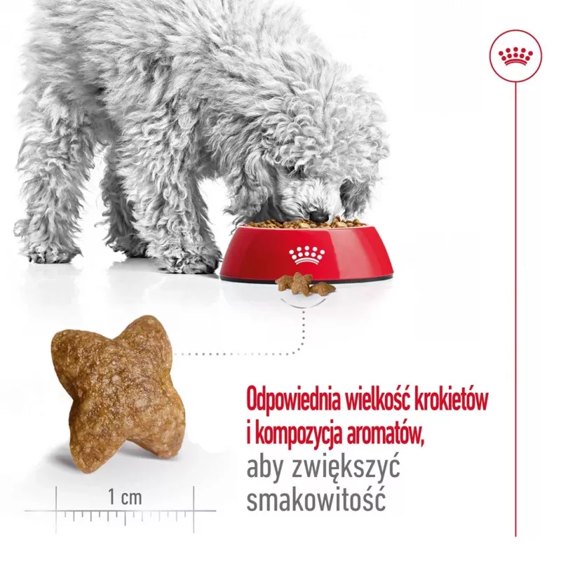 ROYAL CANIN Adult Mini S - kuiv koeratoit - 4kg