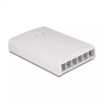 DeLOCK 67054 Keystone pinnale paigaldatav karp, 6 pordiga, valge