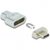 DeLOCK - Thunderbolt / USB-C adapter - USB-C (M) magnetic to USB-C (W) - USB 3,2 Gen 2 / Thunderbolt 3 4,5 A - 8K tugi - hõbedane (66433)