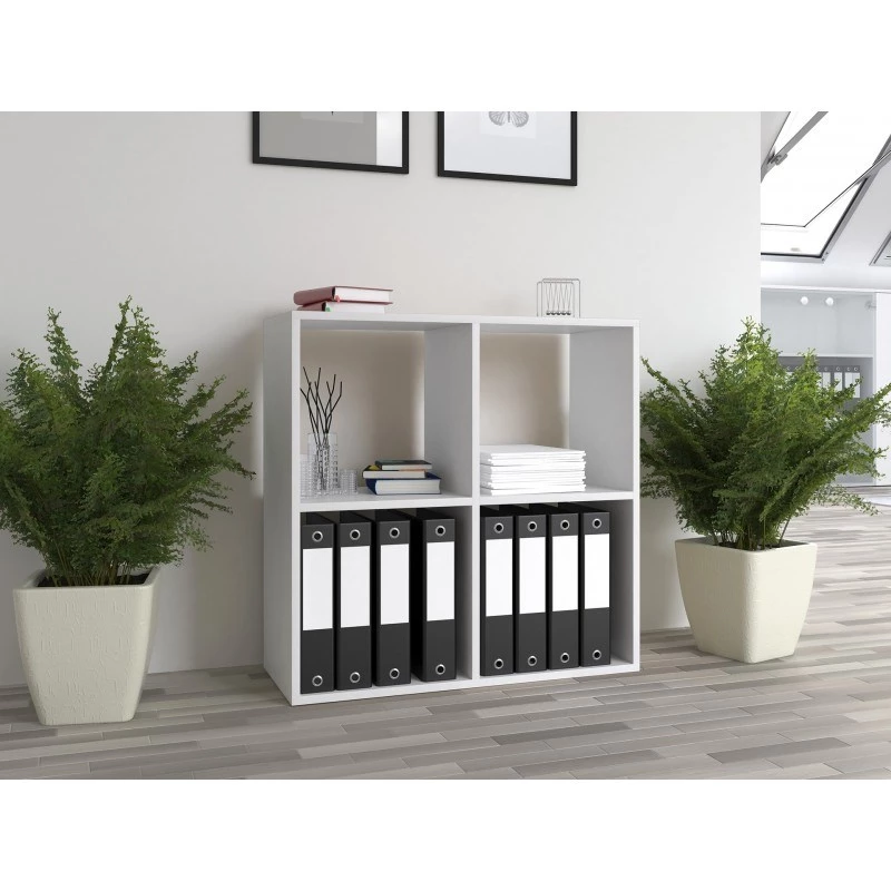 Topeshop MALAX 2X2 BIEL elutoa raamaturiiul