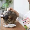 INABA Grillitud kana eriti pehme filee kammkarbimaitselises puljongis - kassimaius - 25 g