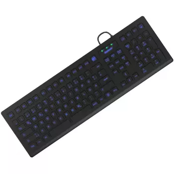 Sanitas 605.29 näoharjaotsak 1 tk
