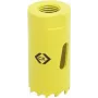 C.K. augusae 16 mm 424001 1 tk (424001)