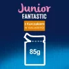 Purina Nestlé Felix Fantastic Junior märg kassitoit, 85 g kotike — kana, 77,5% niiskus, 13,5% valk