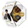 Harry Potter Võluriviktoriin, viktoriinimäng