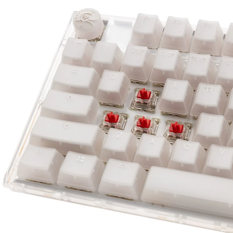 Ducky One 3 TKL klaviatuur Mängimine USB QWERTY Inglise Valge