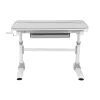 Ergo Office laste ergonoomiline kõrgusega reguleeritav laud, hall, max 100kg, ER-417 2cz