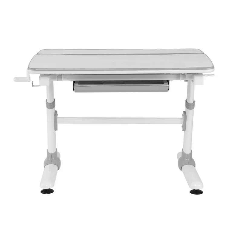 Ergo Office laste ergonoomiline kõrgusega reguleeritav laud, hall, max 100kg, ER-417 2cz