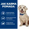HILL'S Prescription Diet Diabetes Care Chicken - märg koeratoit - 370g