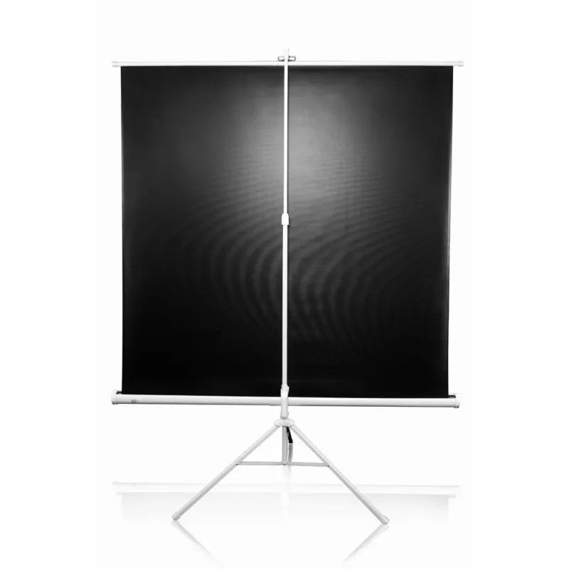 Statiivi projektsioonekraan Elite Screens T113NWS1 2,87 m 1:1