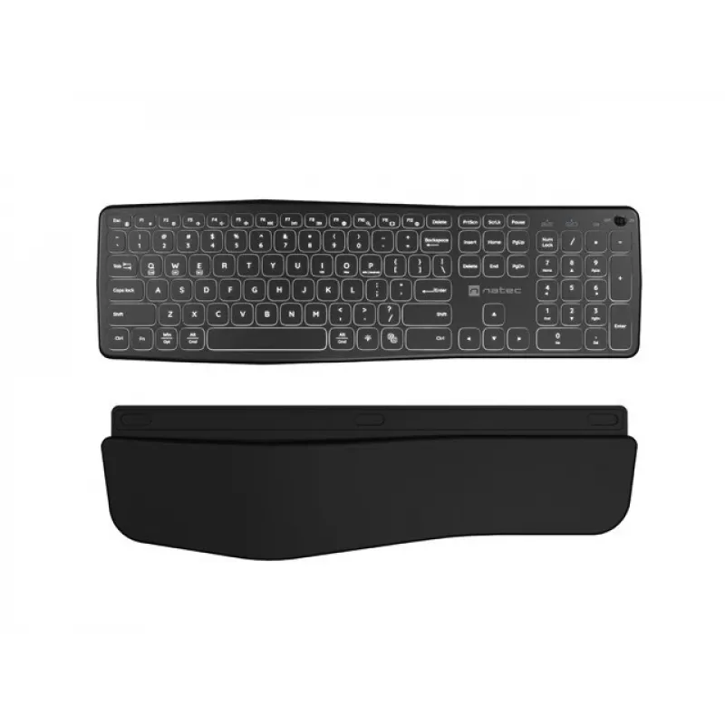 NATEC PORIFERA klaviatuur Kodu/Kontor Bluetooth QWERTY US International Must