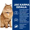 HILL'S PD K/D Kidney + Mobility Chicken - kuiv kassitoit - 3kg