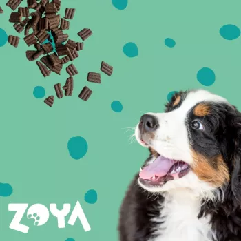 ZOYA ColdPRO Hirv – kuiv koeratoit – 1 kg