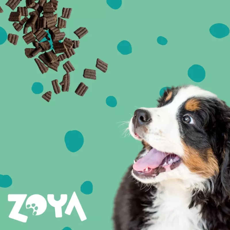 ZOYA ColdPRO Hirv – kuiv koeratoit – 1 kg