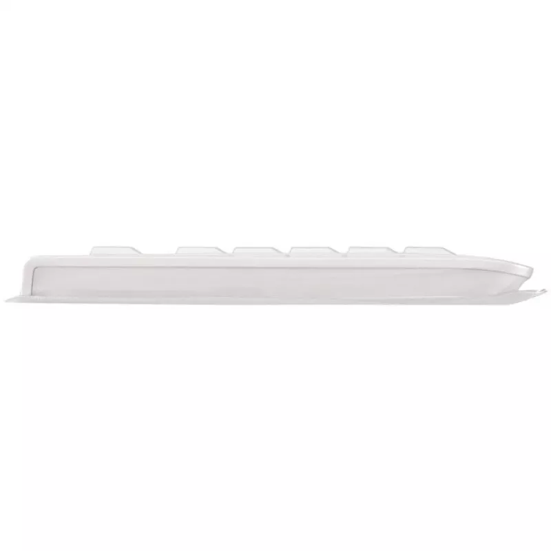 CHERRY KC 1068 klaviatuur USB Šveitsi hall
