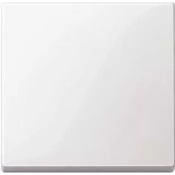 Valguslüliti Merten 433119 — termoplastist valge korpus, nuppjuhtimine, ühekohaline
