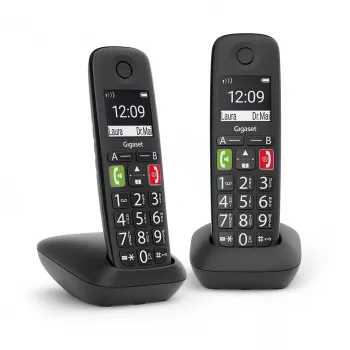 Analoogtelefonitoru Gigaset E290 Duo