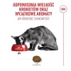 ROYAL CANIN Savour Exigent - kuivtoit kassidele - 10 kg