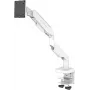 LC-Power LC-EQ-A49W lamekraani lauahoidik 124,5 cm (49) valge lauale/pingile (LC-EQ-A49W)