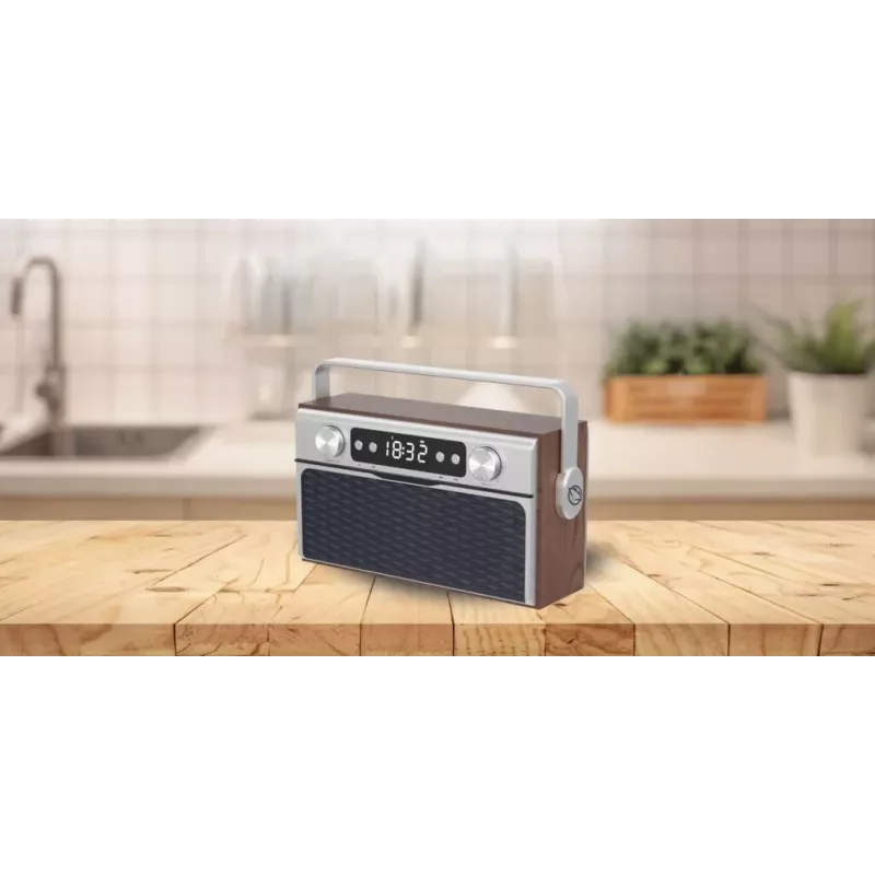 Kaasaskantav raadio MANTA RDI917PRO Bluetoothi ja USB-esitusega