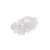 LANBERG RJ-45 pistik PLU-5000, U/UTP (UTP) varjestus, läbipaistev valge, 100 tk pakendis