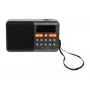 Kaasaskantav analoog AM/FM Bluetooth raadio BLOW RA18 FM-tuuneriga ja Bluetooth-ühendusega