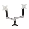 SilverStone SST-ARM22SC kahe monitori kinnitus - hõbedane