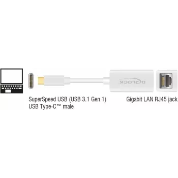 Sülearvuti dokkimisjaam DeLOCK 65906 USB USB-C valge