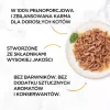 PURINA Gourmet Gold Succulent Delights ookeani kala – märg kassitoit – 85g
