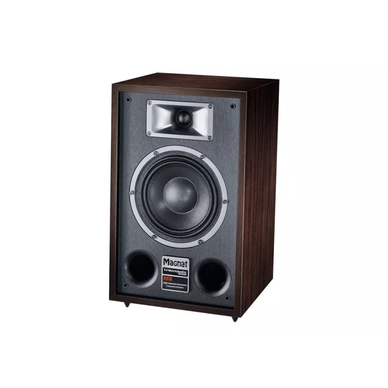 Põrandakõlar Magnat TRANSPULS 800A 2-suunaline juhtmega ja juhtmevaba 2×60 W, Bluetooth 5.0, HDMI, must/pruun
