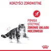 Märg kassitoit Royal Canin Urinary Care täiskasvanud kassidele linnuliha 85 g kotike (12-pakk)