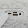 Kaasaskantav kõlar White Shark GBT-619 Idakka Valge