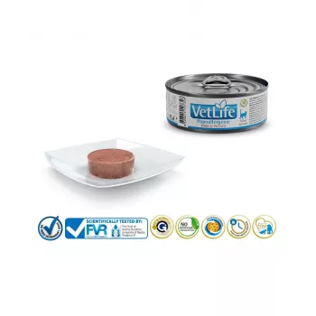 FARMINA Vet Life Hypoallergenic Sealiha & Kartul - märg kassitoit - 85 g