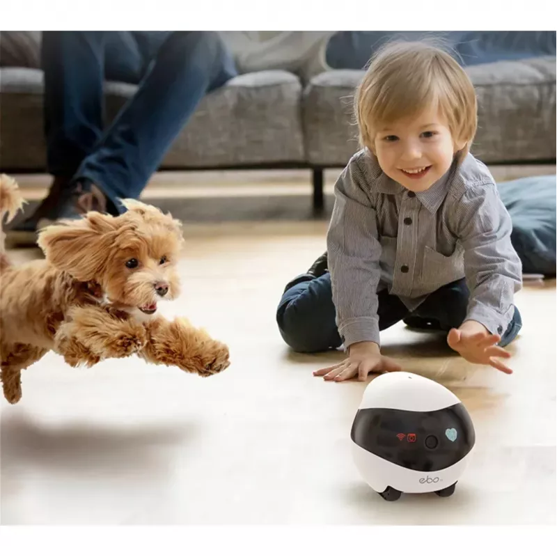 Enabot EBO SE Robot-IP-kaamera kompaktne N/A MP N/A 16 GB väline mälu, toetab kuni 256 GB