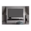 Elite Screens Aeon CineGrey 3D Series AR100DHD3 - ekraan - sobib seinale kinnitamiseks - 254 cm (100)