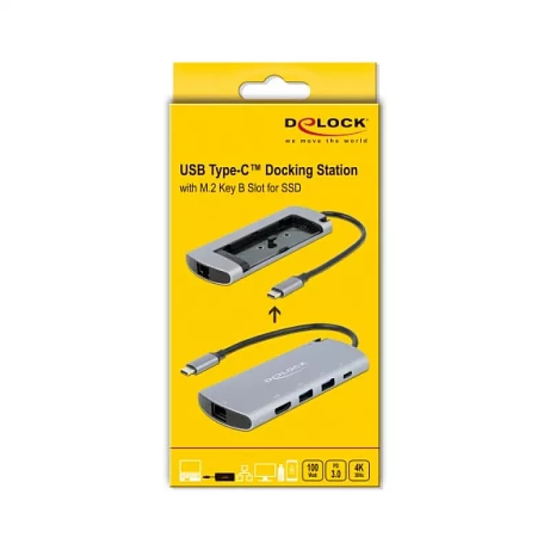 Dokkimisjaam DeLOCK USB-C dokkimisjaam M.2 pesaga