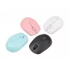 NATEC STORK hiir Kodu Mõlemakäeline RF juhtmevaba + USB Type-A Optiline 1600 DPI