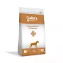Kuiv koeratoit Calibra Veterinary Diets Gastrointestinal Salmon 2 kg — veterinaarne koostis seedimise toetamiseks