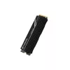 SSD Drive Transcend 1TB M.2 2280 PCIe Gen4x4 NVMe su DRAM ir metaliniu radiatoriumi