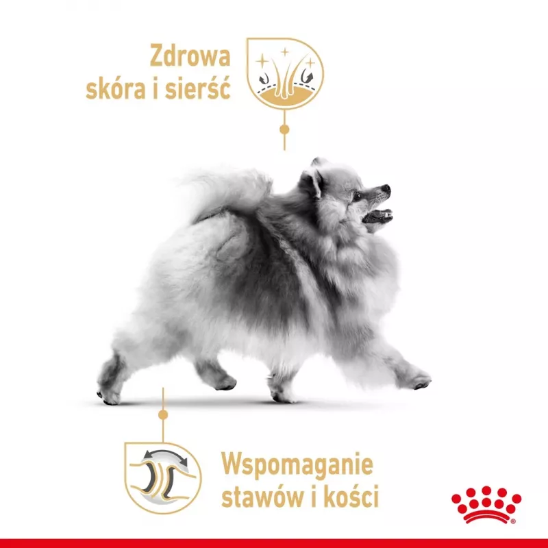 Kuiv koeratoit Royal Canin Pomeranian Adult 3 kg — väikesetõuliste valem täiskasvanud pomeranlastele