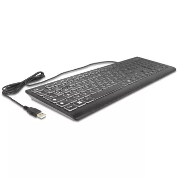 DeLOCK 12170 klaviatuur universaalne USB QWERTZ saksa must mehaaniline RGB