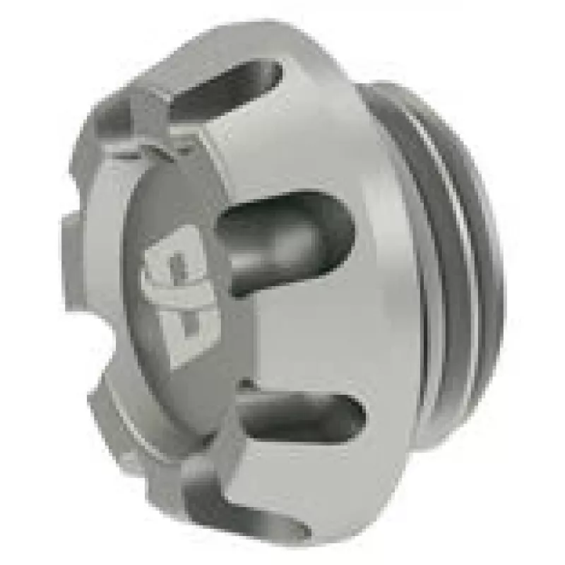 Barrow Kepler Plug G1/4 tolli THODT-V1 - WS Hõbedane — pordipistik, G1/4 tolli keere, hõbedane viimistlus